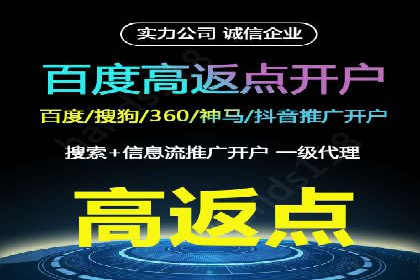案例分享：百度竞价广告投放策略与效果